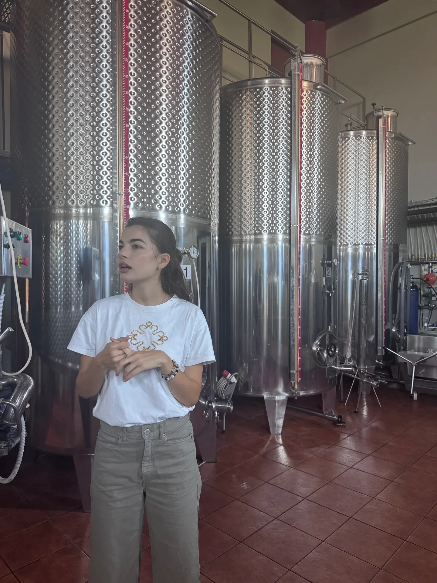 A winery host explaining the work beside stainless steel tanks