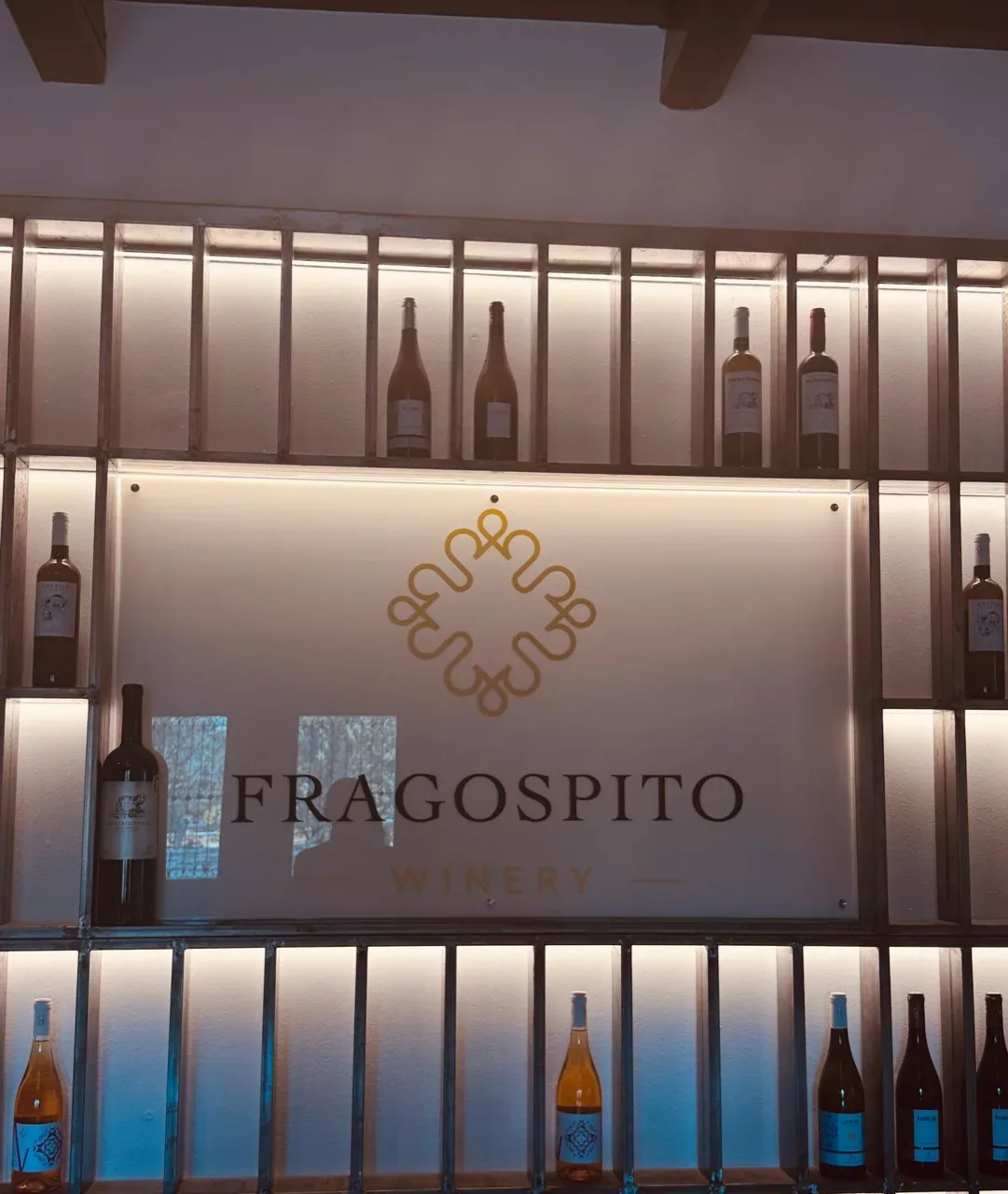 Fragospito Winery sign surrounded by illuminated wine shelves