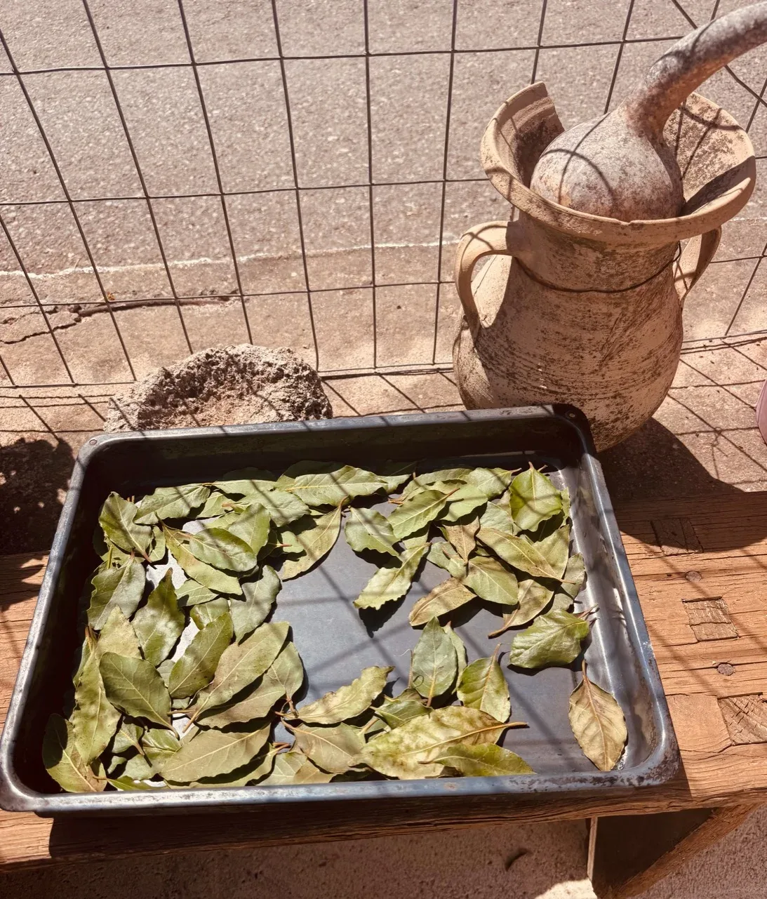 Bay leaves spread in a metal tray beside a ceramic vessel