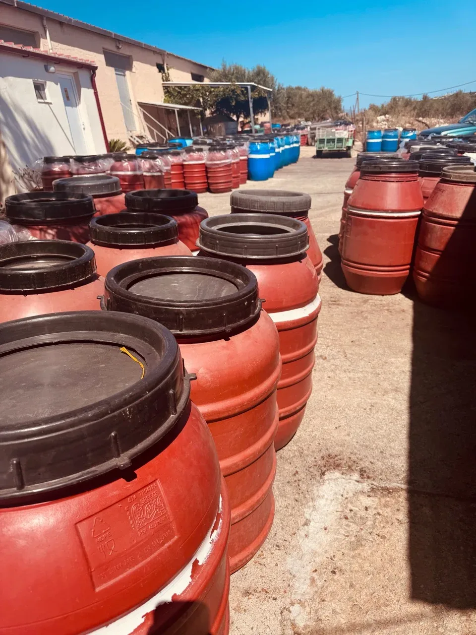 Rows of red harvest barrels outside Karapidakis Winery