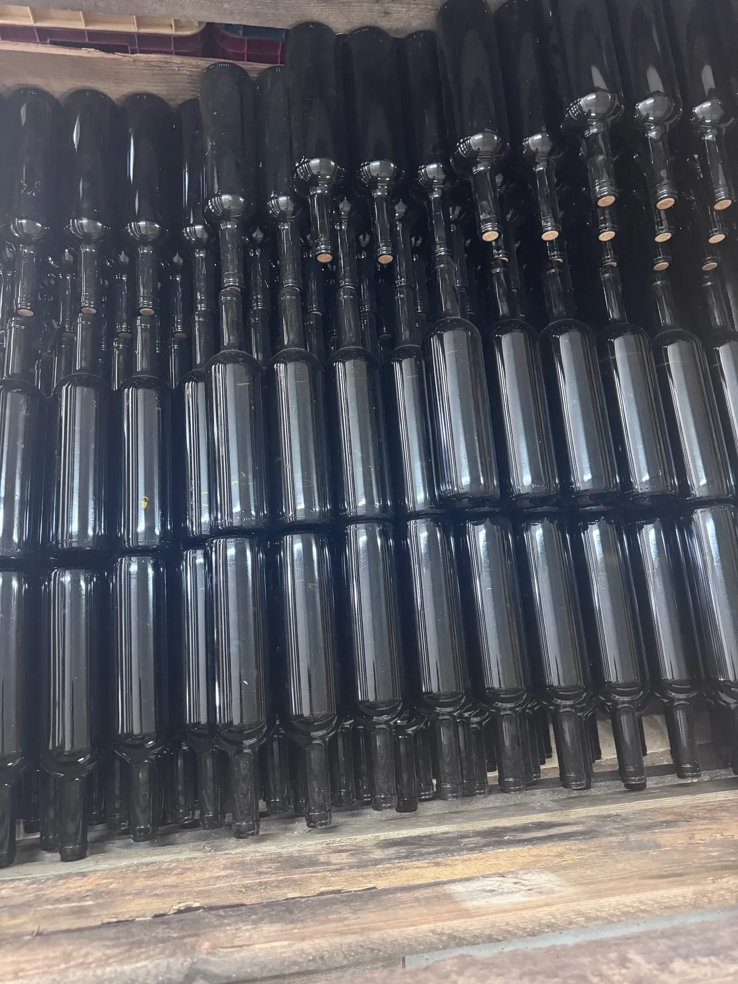 Rows of empty wine bottles stored upside down