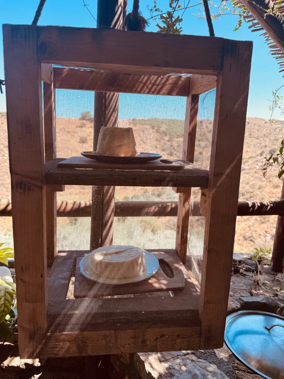 Two rounds of white cheese resting on plates inside a hanging wooden mesh cabinet