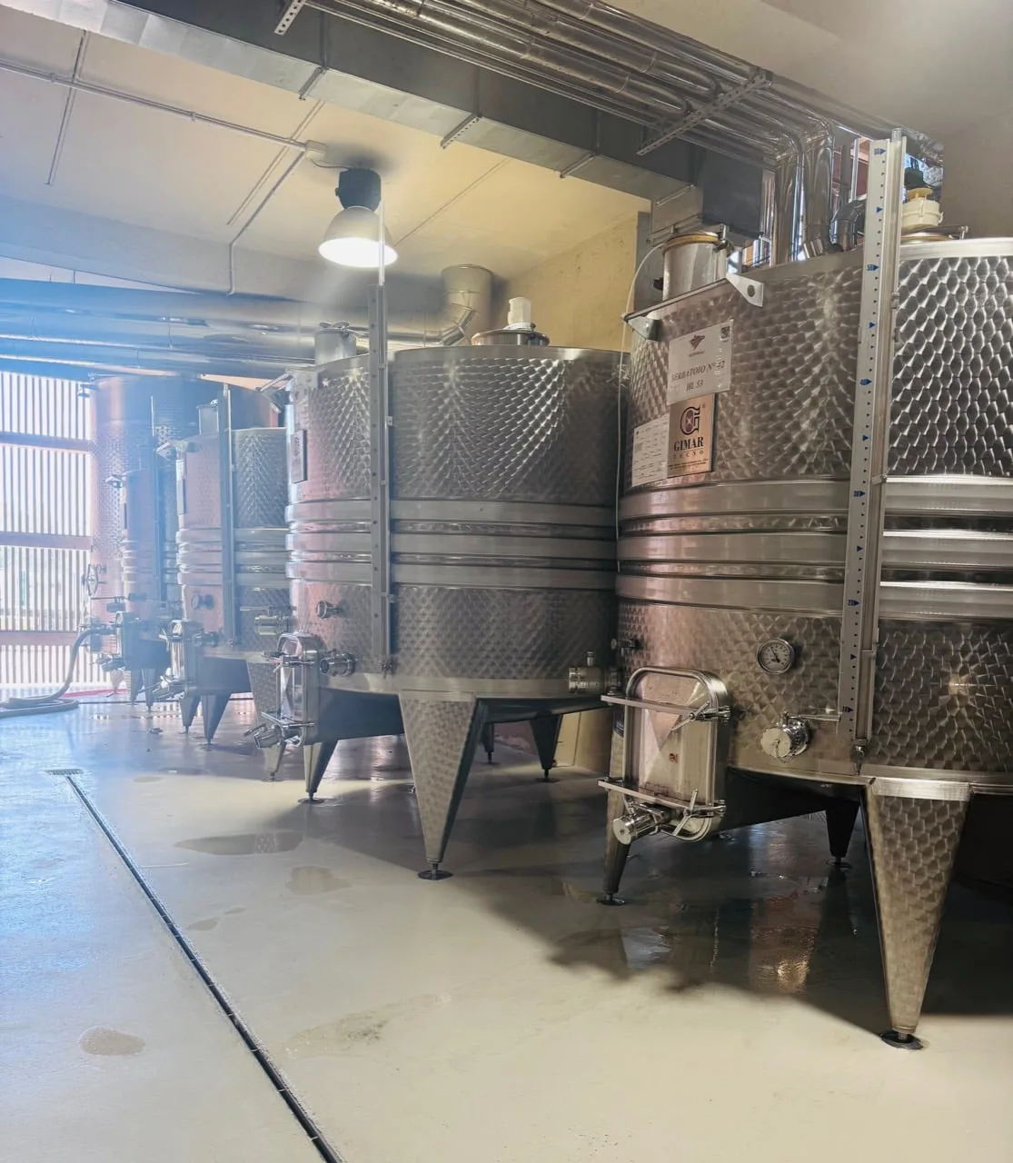 A precise row of stainless steel winery tanks lit from the open doorway