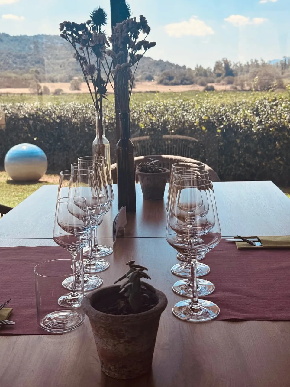 A tasting table set with rows of glasses overlooking the Surrau vineyard