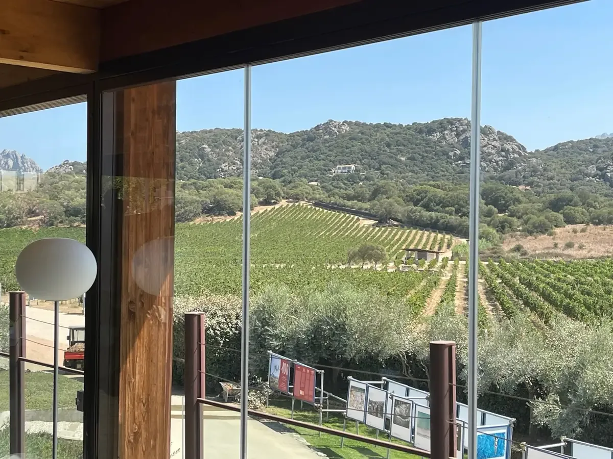 Surrau vineyards and granite hills seen through the tasting room windows