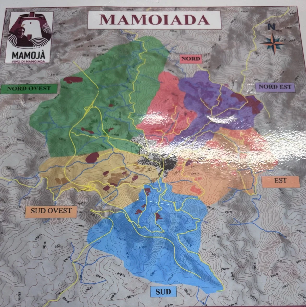 Detailed color map showing vineyard areas around Mamoiada